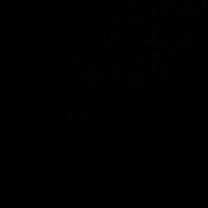 Meet your Posher, Max